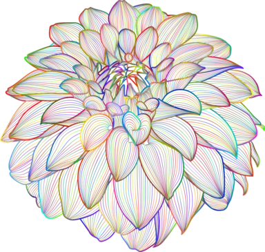 psychedelic dahlia drawing